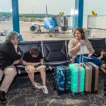 HC_news_Autism_Flies_02-2-1024x713